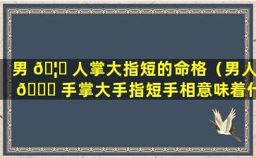 男 🦟 人掌大指短的命格（男人 🍀 手掌大手指短手相意味着什么）